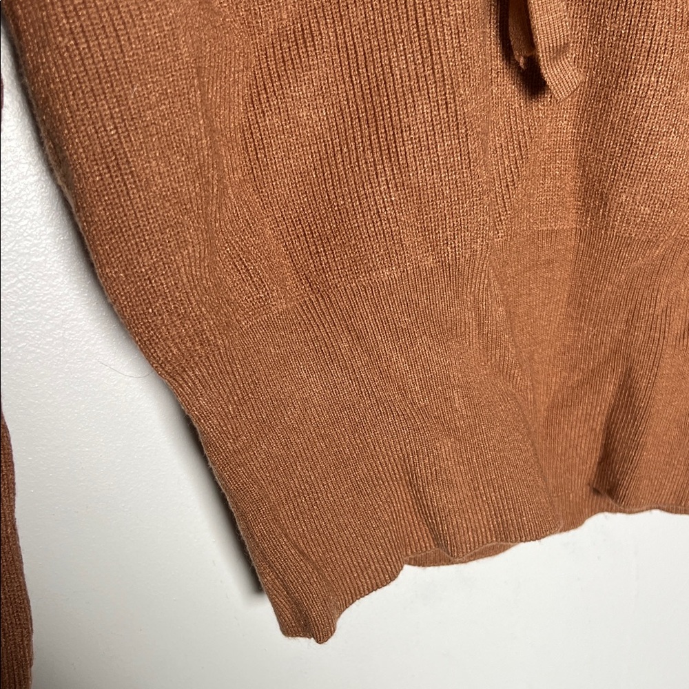Zara Rust Brown Knit Top with Cream Ruffle Collar - Picture 4 of 7